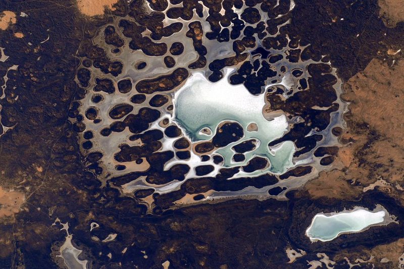 Illustration for article titled 51 Favourite Photos from Astronaut Scott Kelly's First Six Months in Space